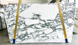 Arabescato Corchia Marble Polish 74" x 130" Natural Stone slab