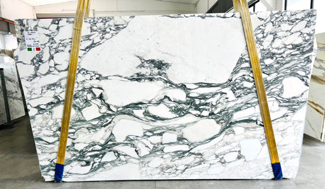 Arabescato Corchia Marble Polish 74" x 130" Natural Stone slab