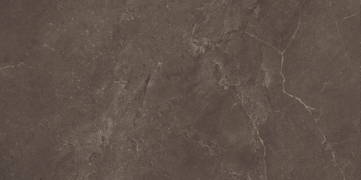 Arcadia 24x48 porcelain tile