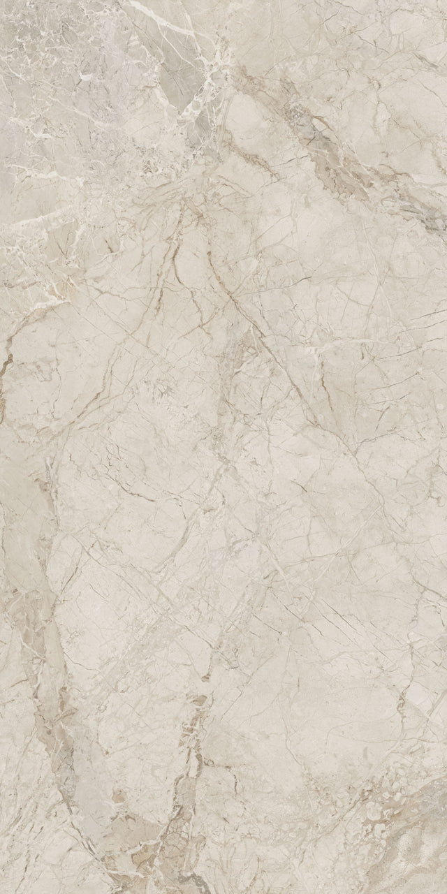 Breccia Reale Matte 64" x 128" Porcelain slab