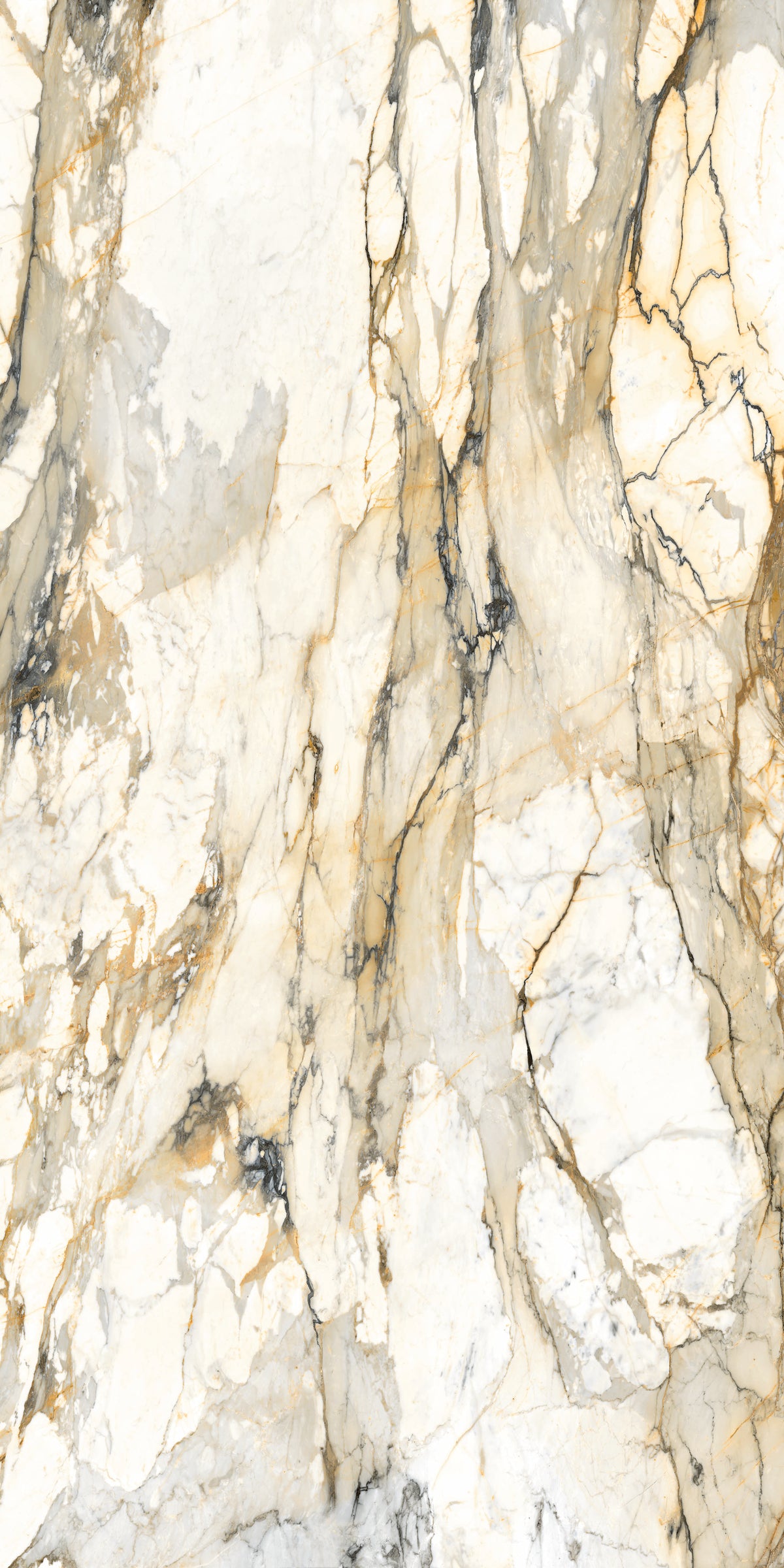 Marmo Antico Polish 63" x 126" Porcelain slab, Side B