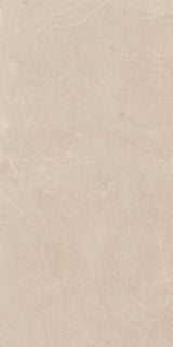 Stoneline 24x48 porcelain tile