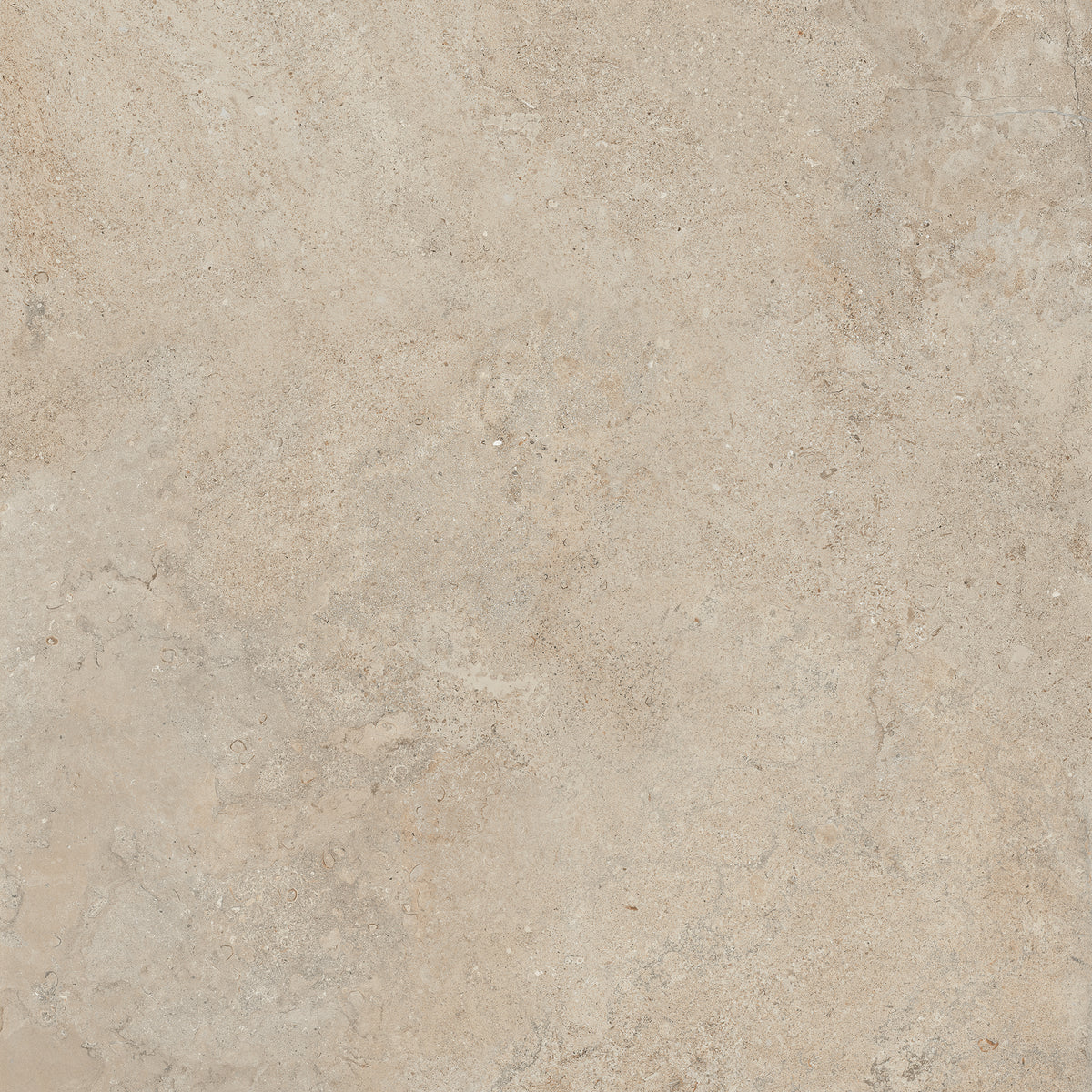 Lithoteke Limestone Mt 48x48 porcelain tile
