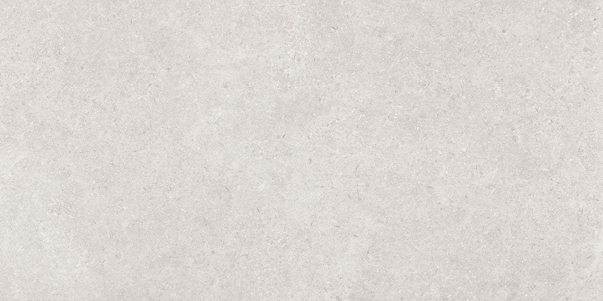Leiria 24x48 Matte Greige porcelain tile