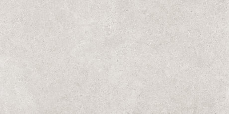 Leiria 24x48 Matte Greige porcelain tile