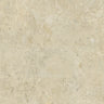 Bistone 48x48 Beige porcelain tile