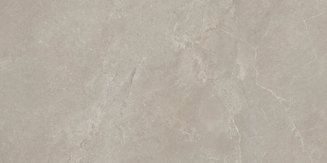 Arcadia 24x48 Matte Visone porcelain tile