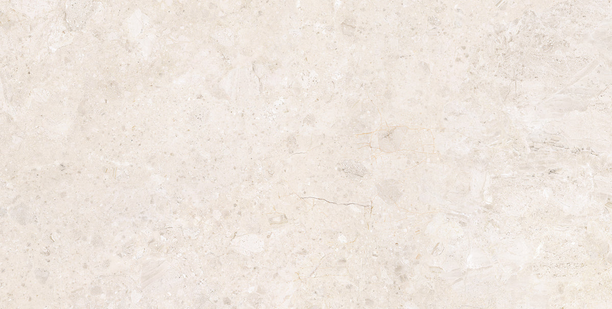 Ardara 24x48 porcelain tile