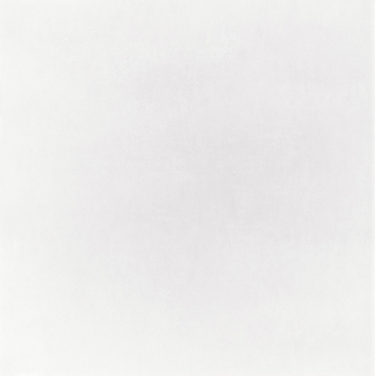 Micron Bianco 48x48 Matte porcelain tile