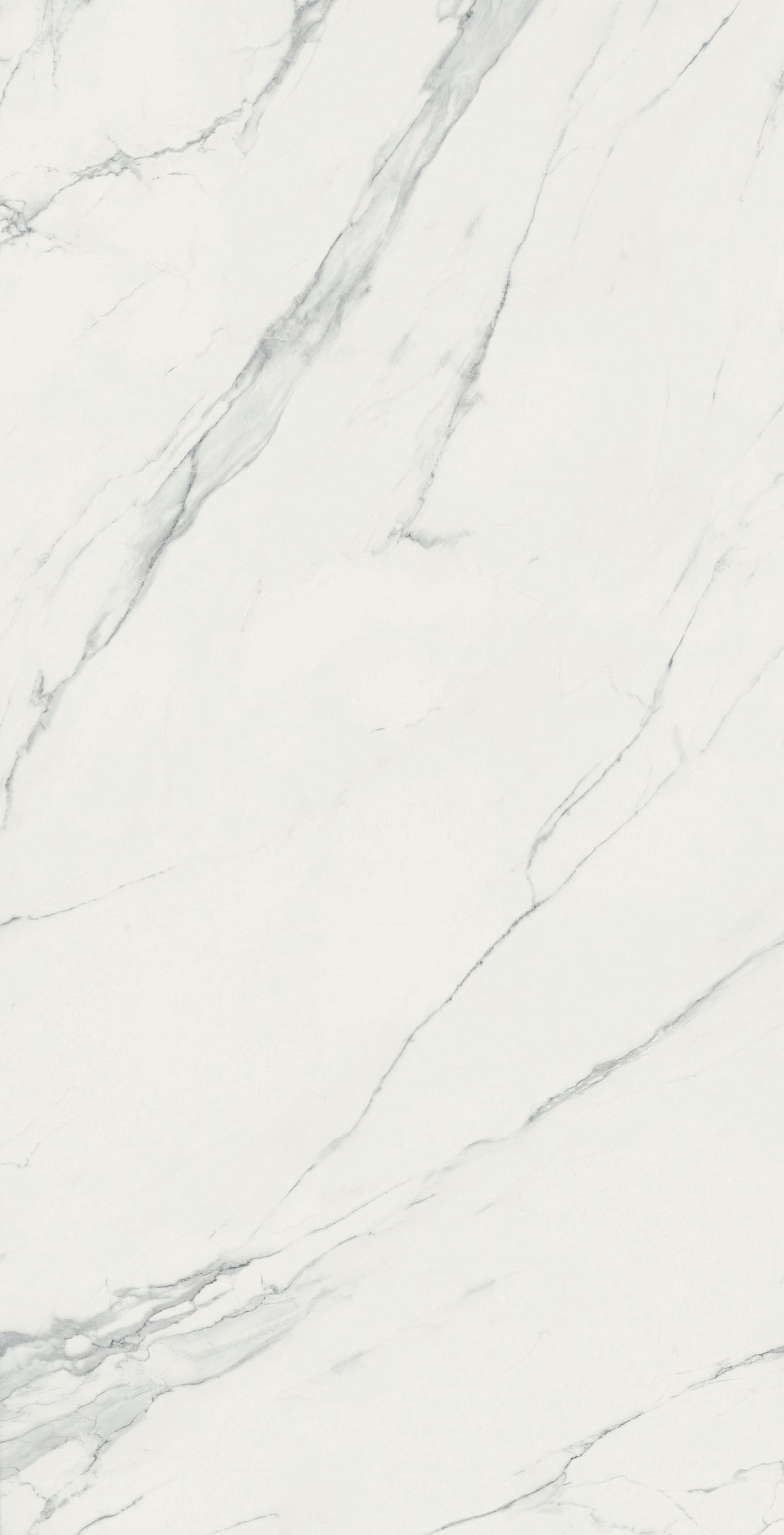 Calacatta Gris Matte 64" x 128" Porcelain slab