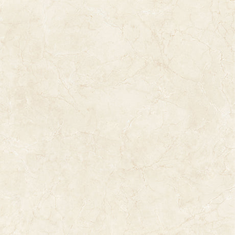 Native 48x48 Matte Light porcelain tile