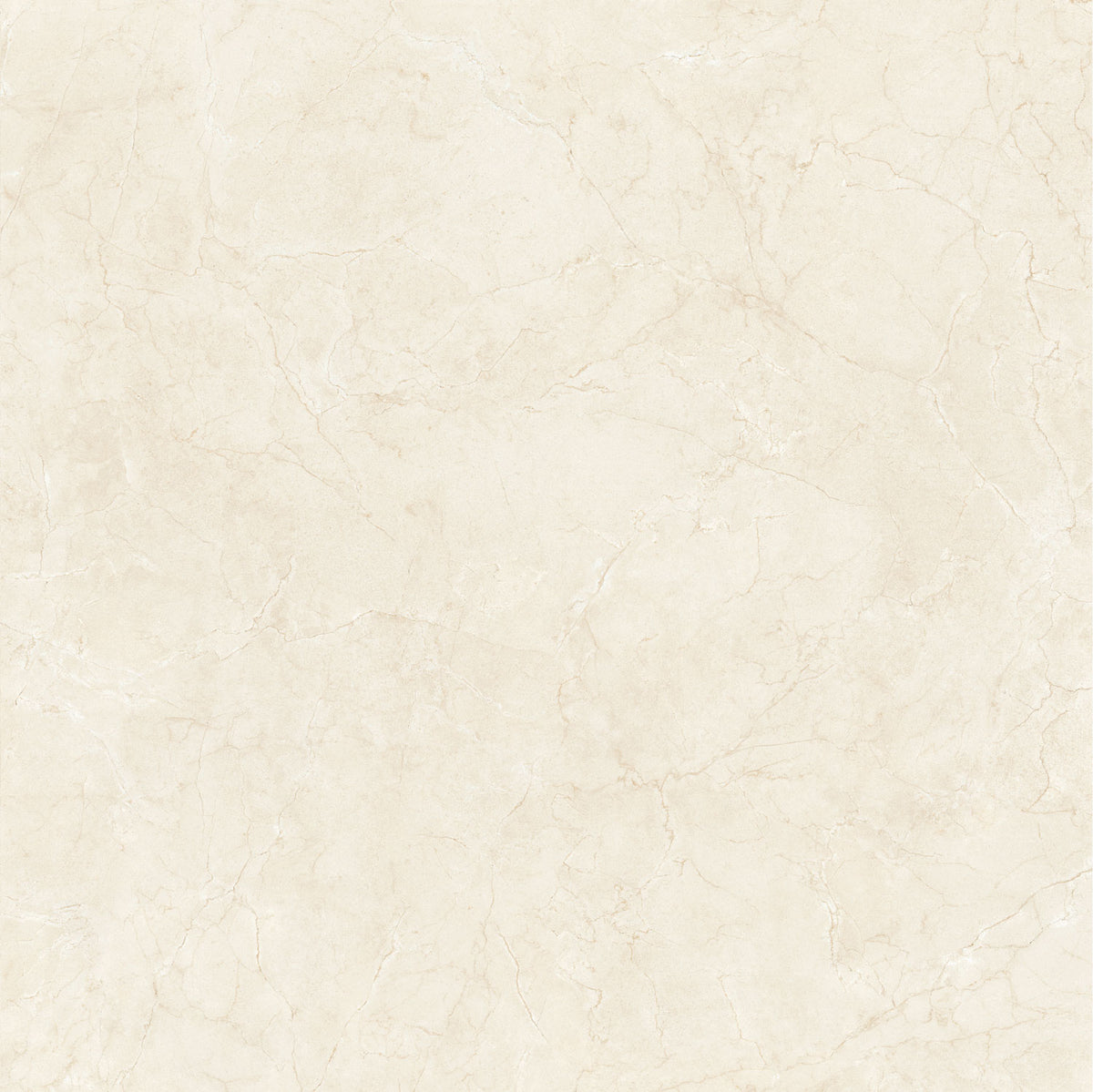 Native 48x48 Polish Light porcelain tile