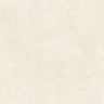 Native 48x48 Polish Light porcelain tile