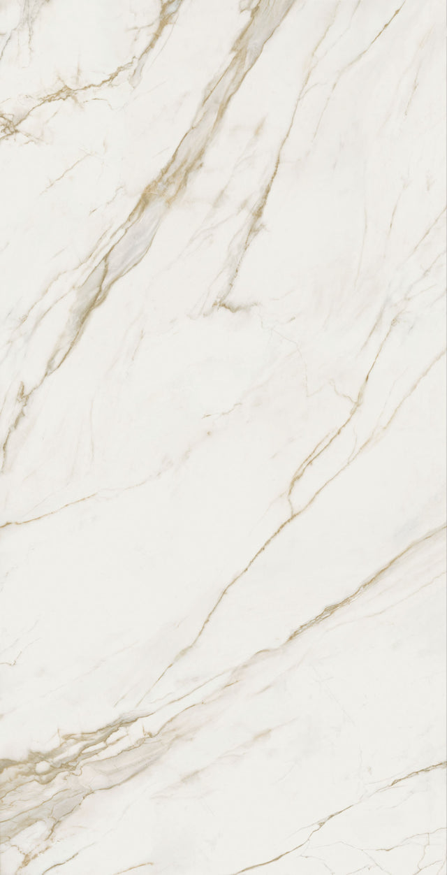 Calacatta Extra Matte 64" x 128" Porcelain slab