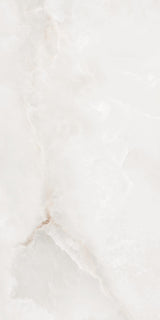 Orion 24x48 porcelain tile