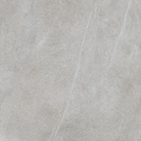 Hope 48x48 Matte Grey porcelain tile