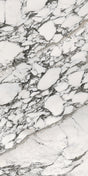 Borromini Touch 24x48 porcelain tile