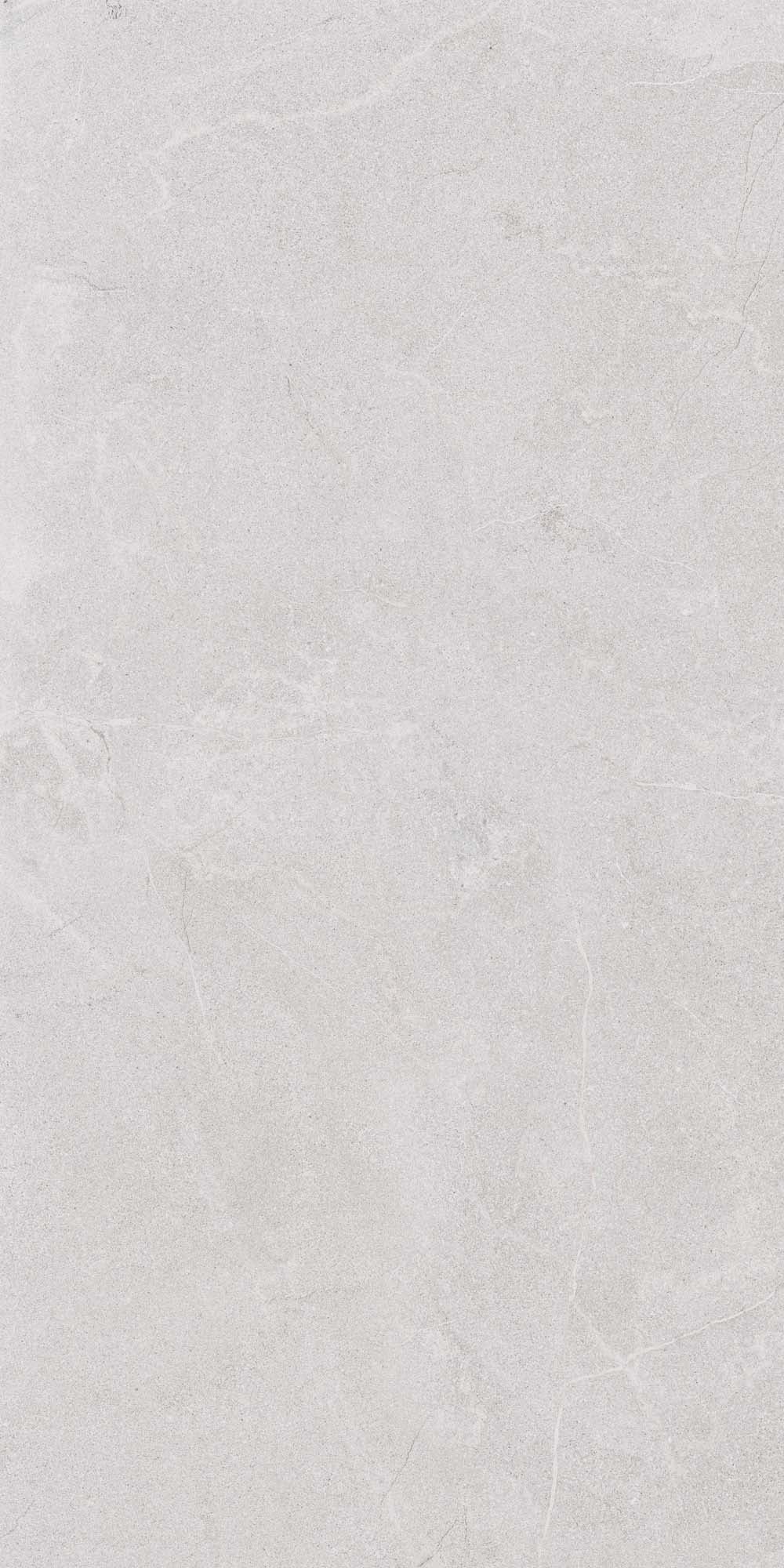 Stoneline 24x48 porcelain tile