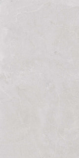 Stoneline 24x48 porcelain tile