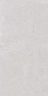 Stoneline 24x48 porcelain tile