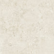 Bistone 48x48 porcelain tile