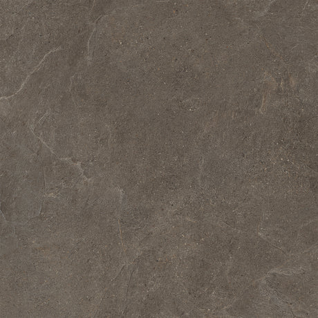Moonstone 48x48 Safe Brown porcelain tile