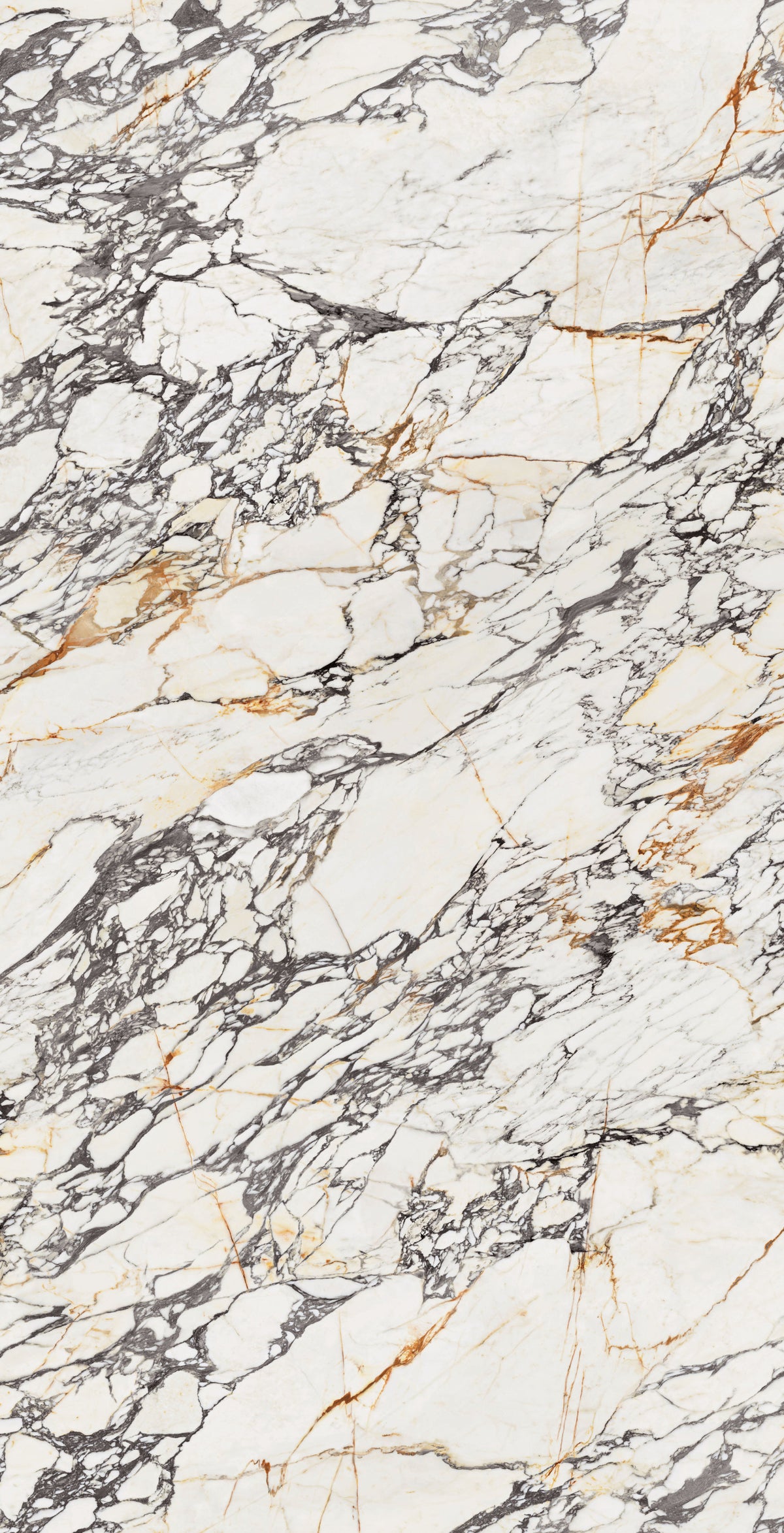 Corchia Gold Matte 64" x 128" Porcelain slab