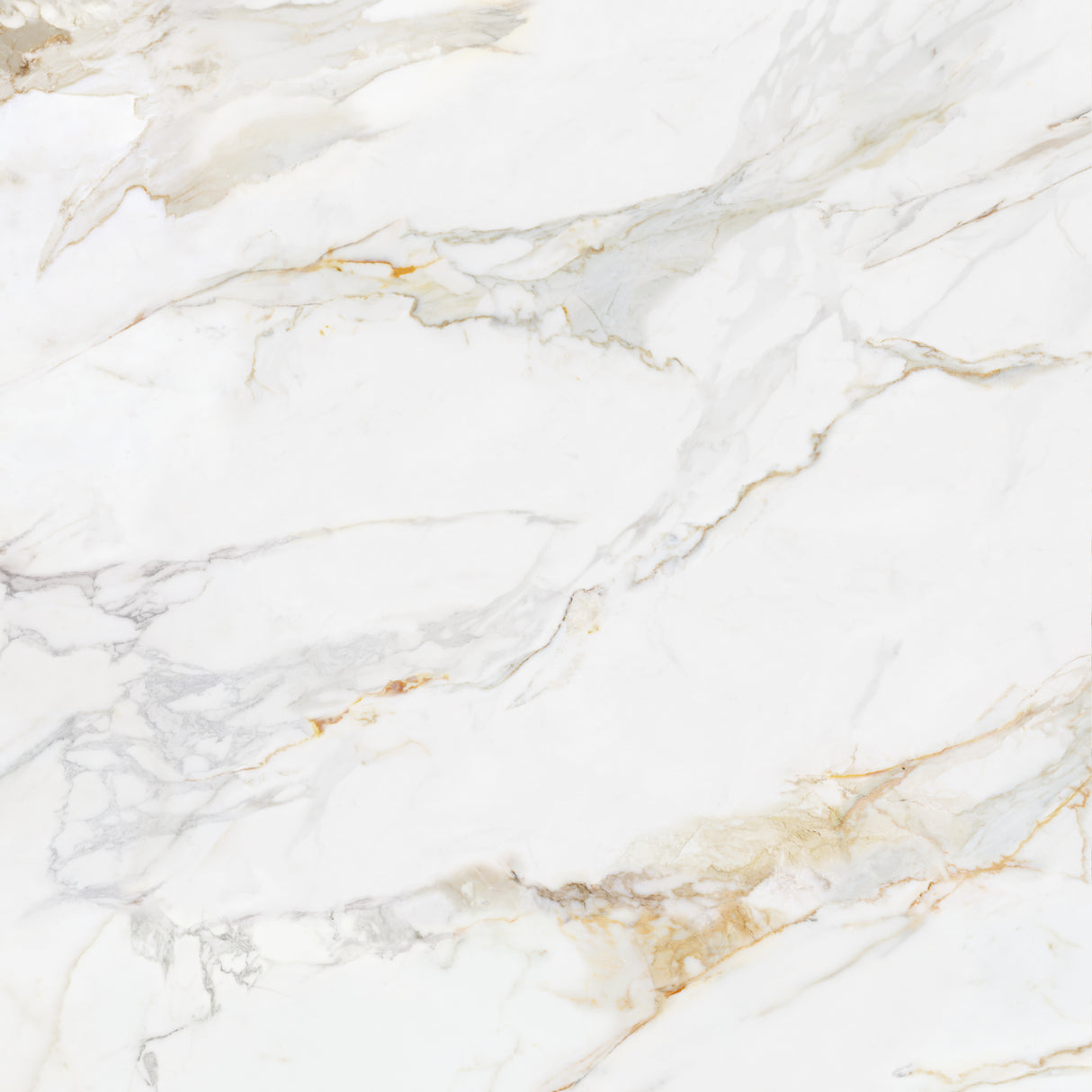 Marshall Gold 24x48 Pol porcelain tile