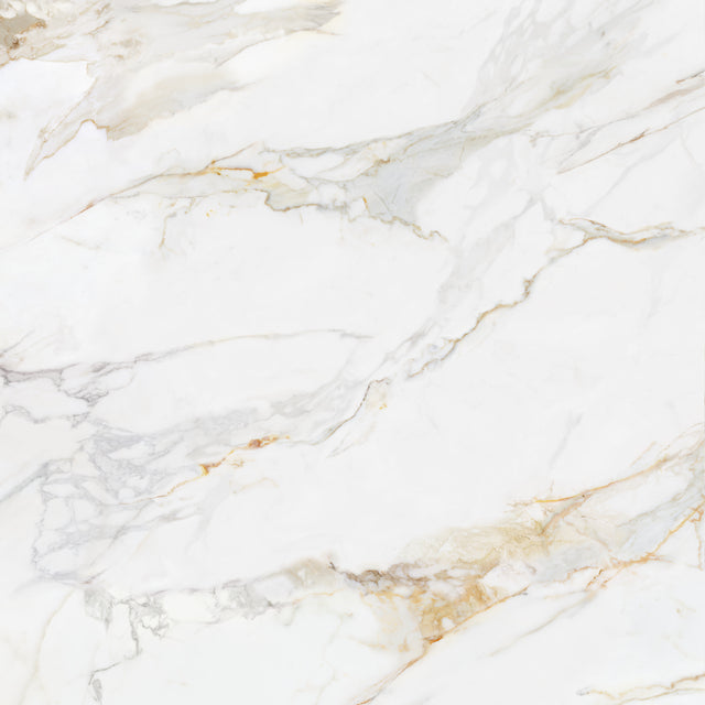 Marshall Gold 24x48 Pol porcelain tile
