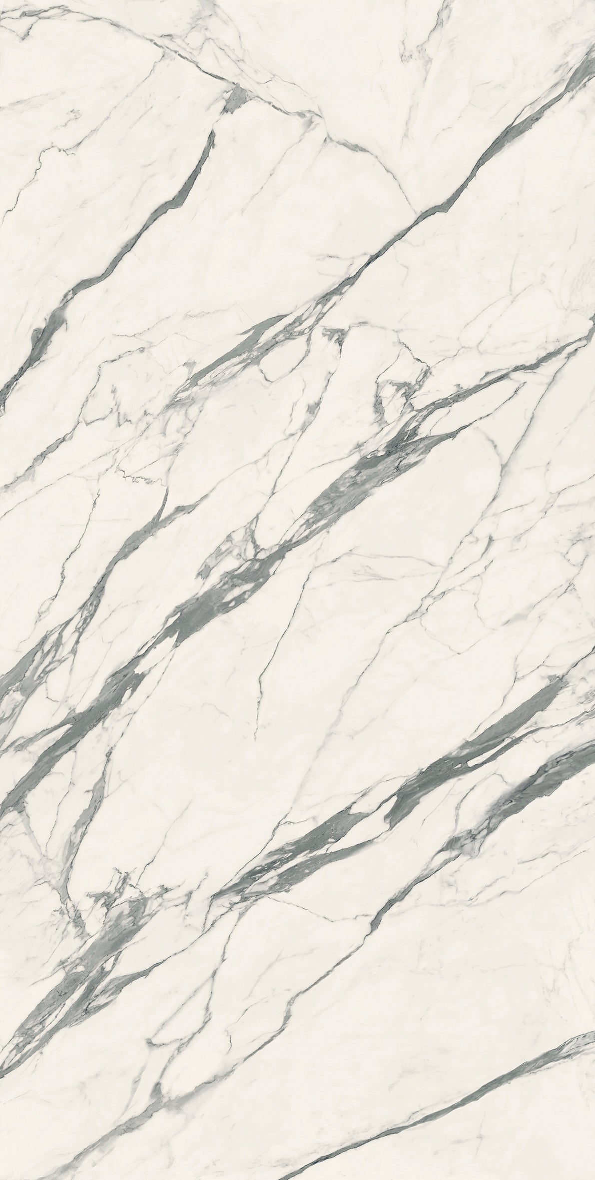 Top Statuario Venato Matte 64" x 128" Porcelain slab, Side B