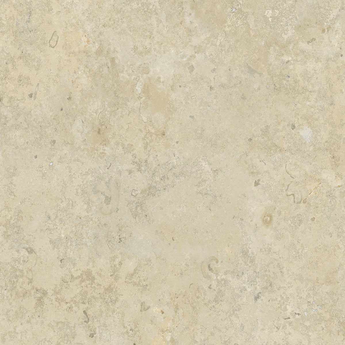 Bistone 48x48