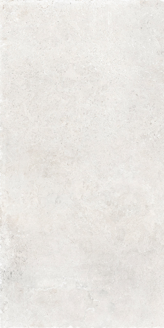 St Remy 24x48 porcelain tile