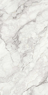 Camouflage Matte 64" x 128" Porcelain slab