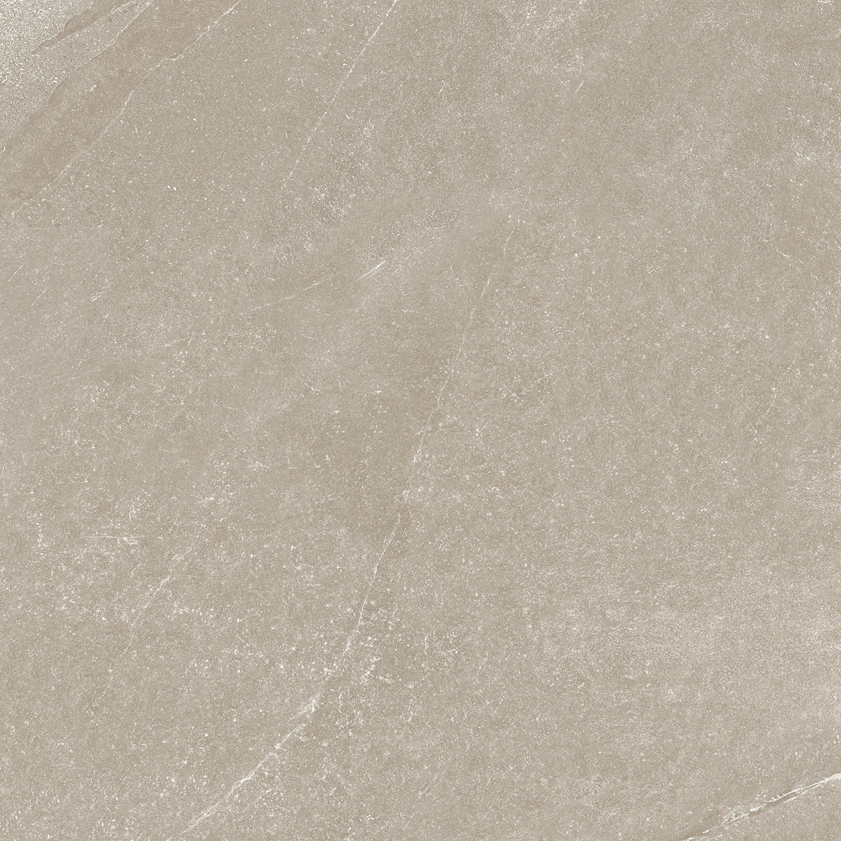 Shale 48x48 porcelain tile