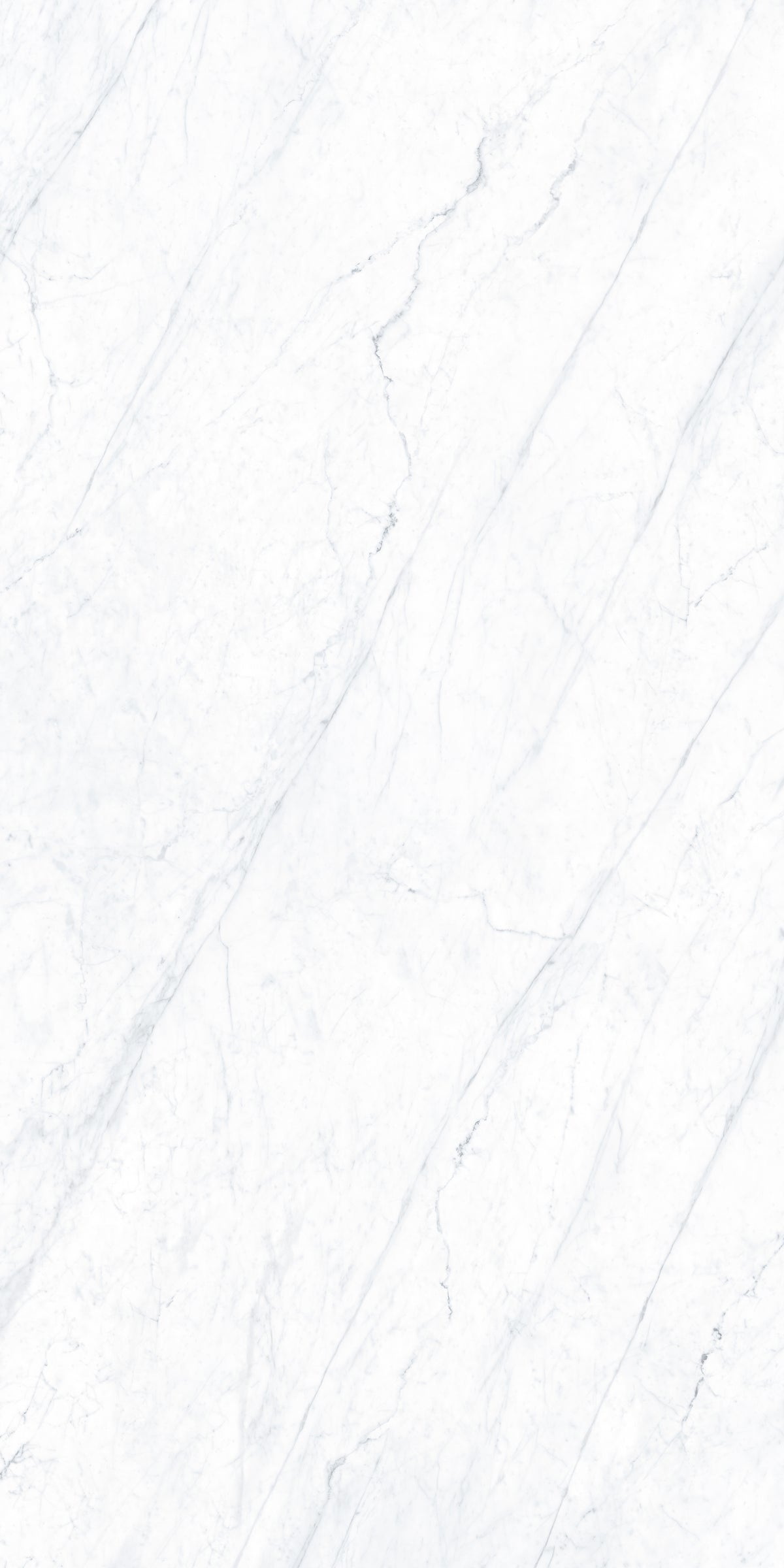 Carrara Matte 63" x 126" Porcelain slab, Side B