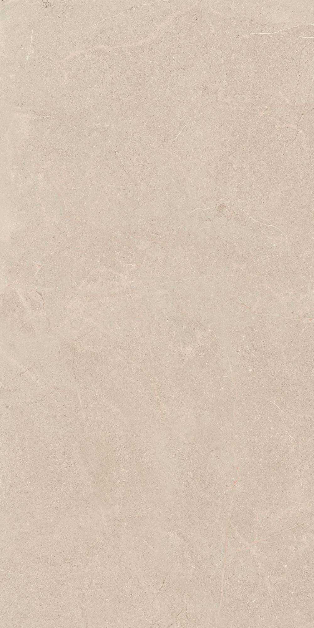 Stoneline 24x48 Matte Natural porcelain tile