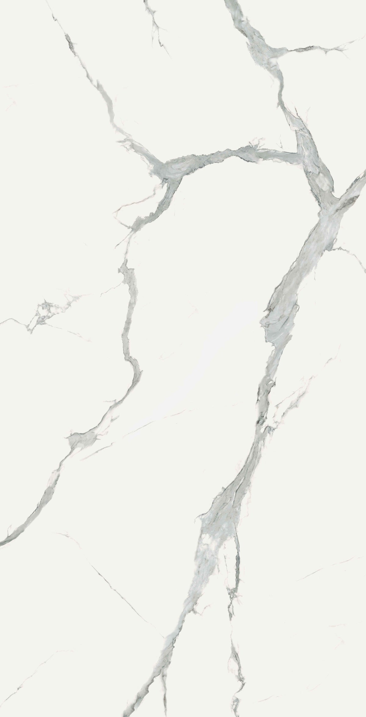 Statuario Superior Matte 64" x 128" Porcelain slab