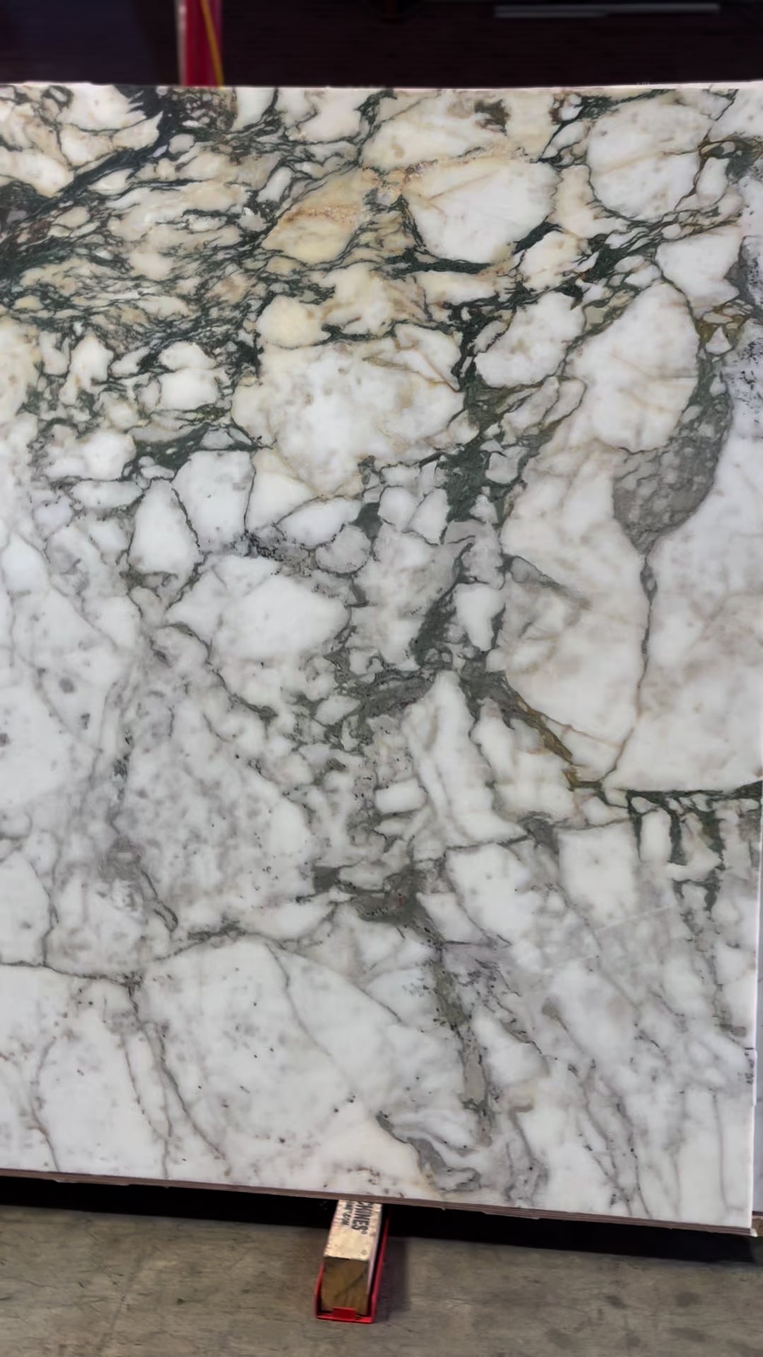 Calacatta Monet Polished Slab