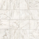 Roma Porcelain Rectified Matte Tile 12x12