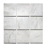 Roma Porcelain Rectified Matte Tile 12x12