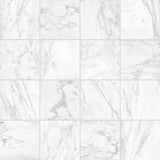 Roma Porcelain Rectified Matte Tile 12x12