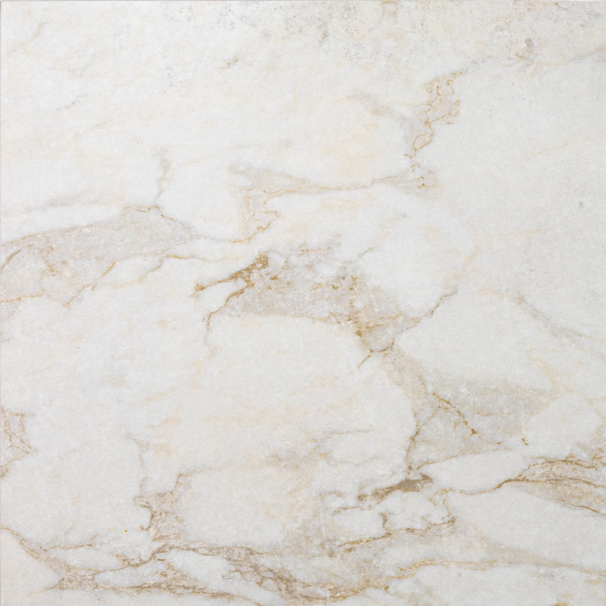 The Roma Collection Porcelain Tile Matte 12x12