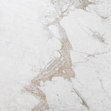 The Roma Collection Porcelain Tile Matte 12x12