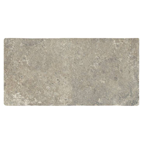 sintra Abbey Stone Extra Large Tile Matte 8.6x17.2