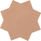 Kasbah Star Porcelain Matte 6.5x6.5