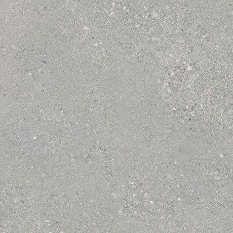 Grain Stone Rough 24x48 tile floor