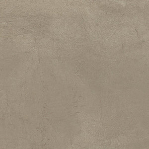 Domus 16x32